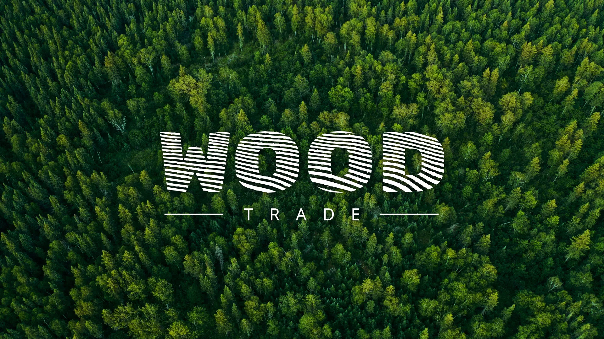 Разработка интернет-магазина компании «Wood Trade» в Куйбышеве
