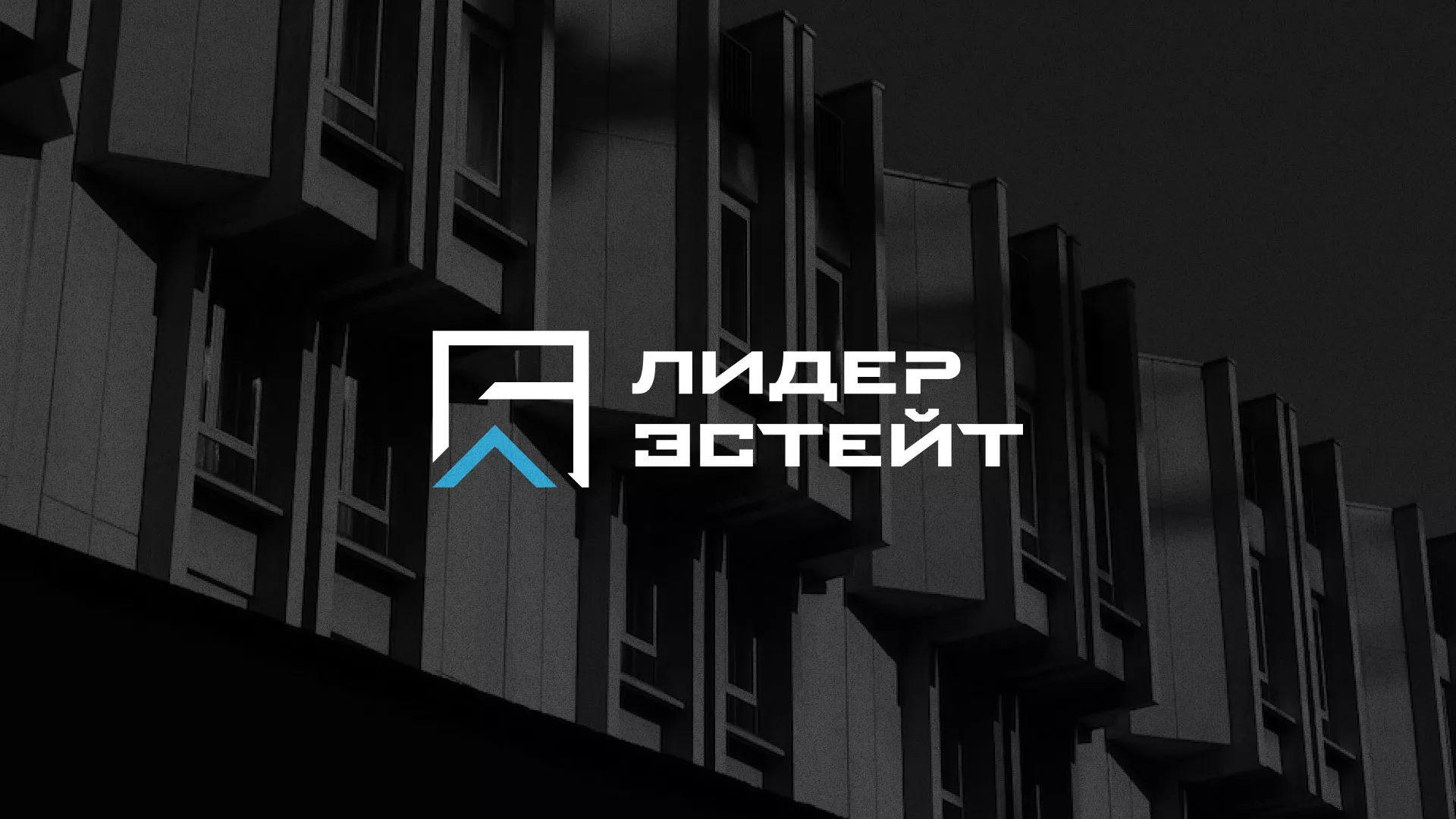 Разработка логотипа агентства недвижимости «Лидер Эстейт» в Куйбышеве